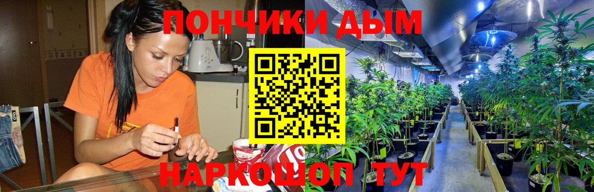 Канабис семена  Бошки марихуана конопля  Бошки марихуана семена  Вход с VPN  Малгобек 
